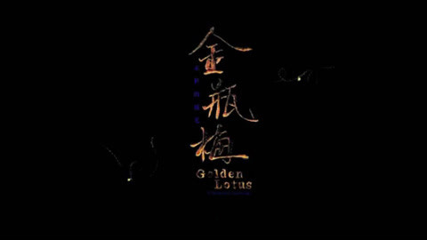 爱罗说书解读金瓶梅 爱罗说书解读金瓶引