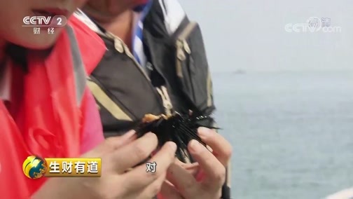 生财有道 《生财有道》 20190802 生态中国沿海行 海钓 海韵 海风情 生态生财看荣成