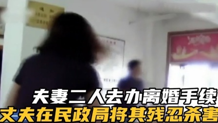 品人生百味第二季 夫妻二人去办离婚手续，妻子埋怨了几句，丈夫就将其残忍杀害。