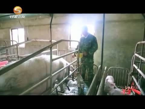 好人在身边 《好人在身边》 20150711 绿园