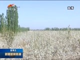 新疆新闻联播 《新疆新闻联播》 20180413