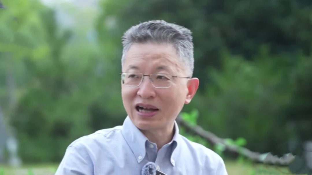 健康大问诊 夏入岳西——探寻“四时神药”的养生密码