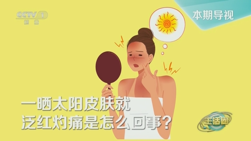 生活圈 《生活圈》 20240506