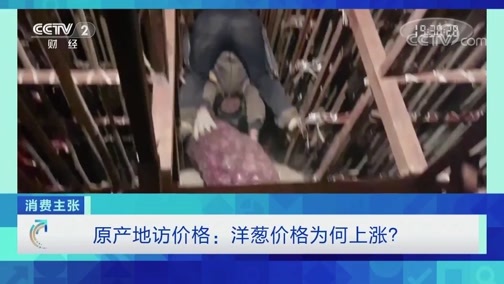 消费主张 《消费主张》 20191226 原产地访价格：洋葱价格为何上涨？