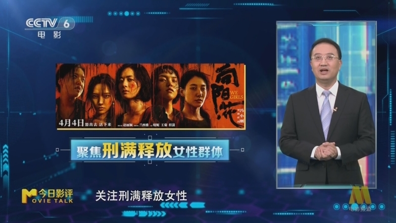 今日影评 《M指数》 20250401