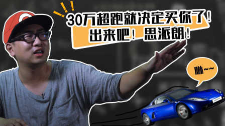 看到这辆三十万的超跑我的三条腿都是硬的