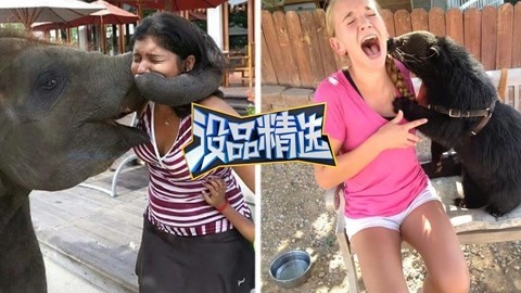 没品精选 【没品精选】看着就心疼啊！凶猛小动物调戏无辜妹子