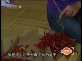 道德观察 道德观察（日播版） 2010年 第294期 用歌声行走的人