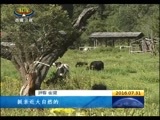 西藏新闻联播 《西藏新闻联播》 20160731