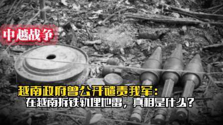 战史分析 越南政府曾公开谴责我军：在越南拆铁轨、埋地雷，真相是什么呢？