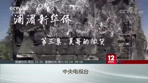 见证 《见证》 20200417 澜湄新华侨 第二集 守护乡音