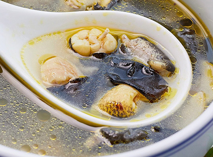 美食台 石耳炖石鸡 清热败火还温补