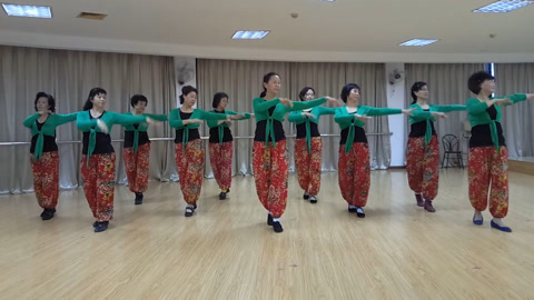 广场舞 广场舞《又见两只蝴蝶飞》