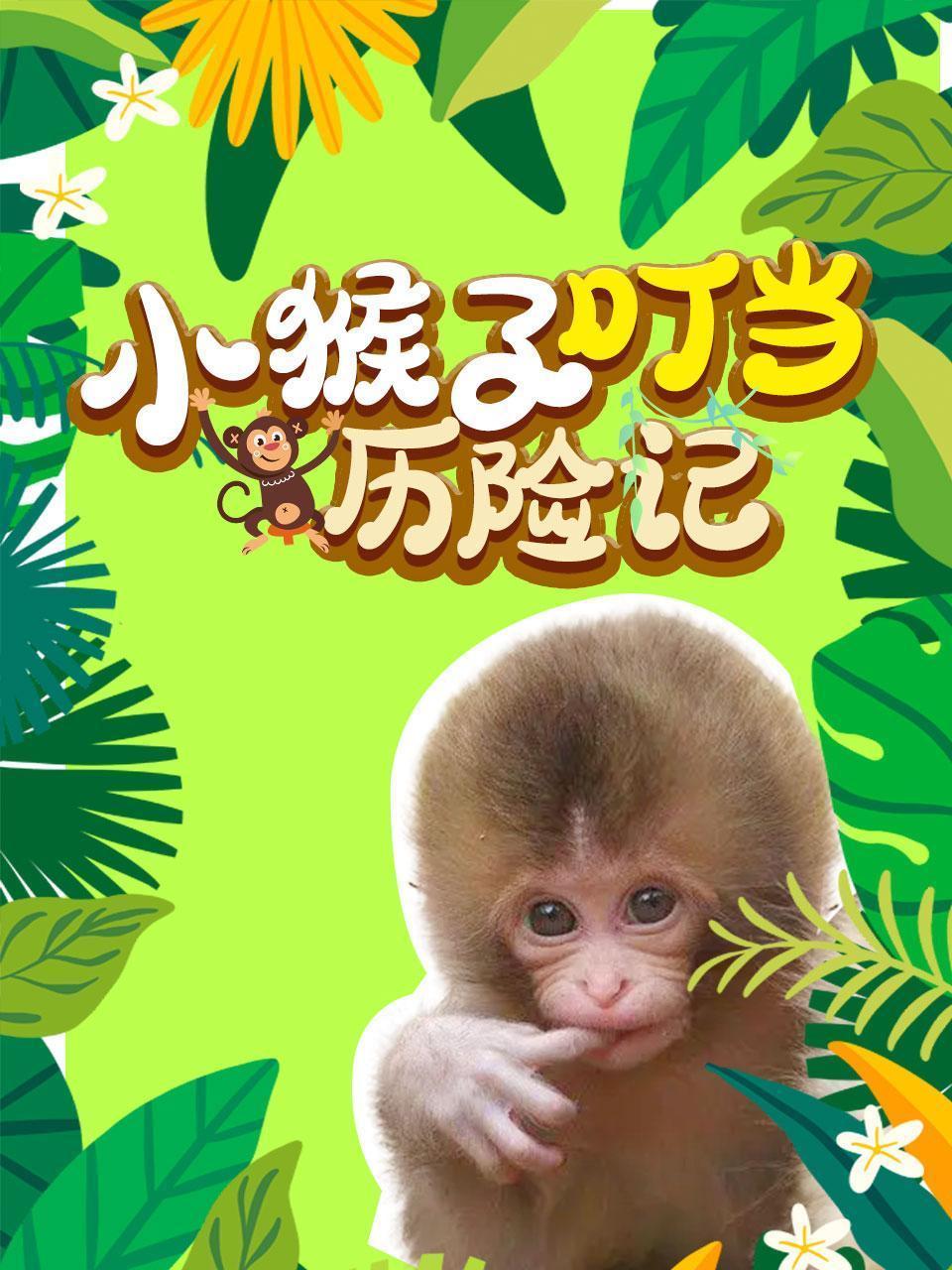 小猴子叮当历险记