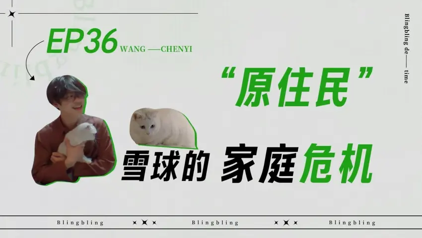 闪亮的日子 《闪亮的日子》第36期
