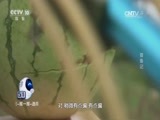 我爱发明 《我爱发明》 20170419 猎鱼记