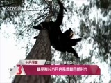 文化十分 《文化十分》 20160128