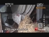 今日说法 《今日说法》 20140422 小河边的空巢