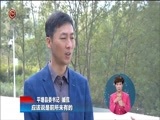 星期天报道 《星期天报道》 20171112