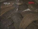 生财有道 [生财有道]一波三折养大鲵(20120411)