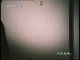 人与自然 人与自然 2010年 第50期