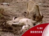 人与自然 《人与自然》 20161114 捕食者的故事（上）