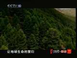 地理中国 解密远古之花（上） 地理中国 2010-12-15