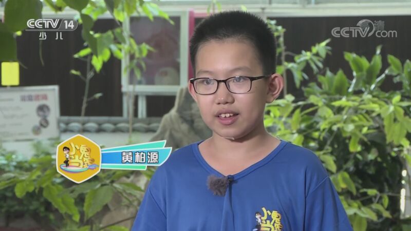 快乐体验 《快乐体验》 20201112 小鬼当家