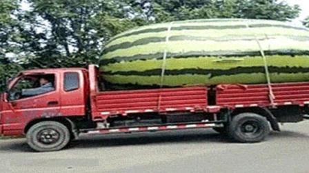 猿创精选 一个西瓜装一车 瓜农就问你服不服 103