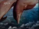 人与自然 人与自然 2010年 第52期 2011-01-07