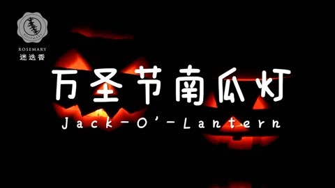 迷迭香 万圣节南瓜灯迷迭香