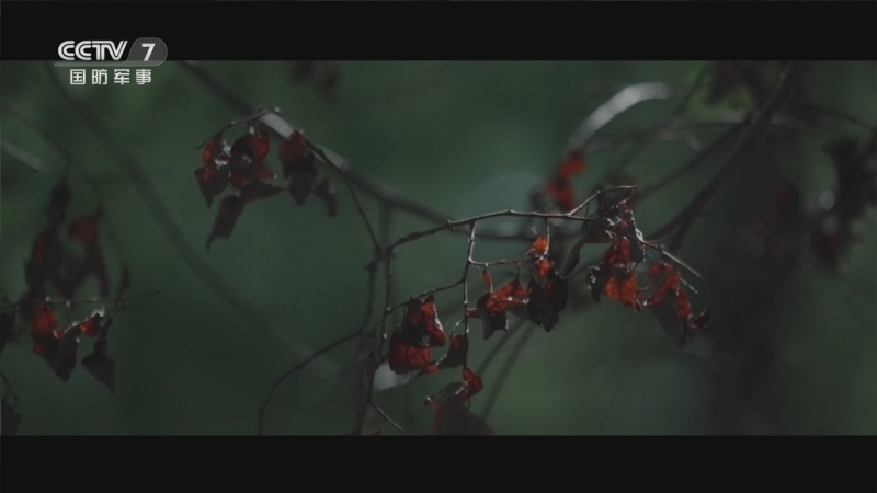 《鸭绿江的来信》 20230728