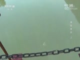 地理中国 《地理中国》 20170908 通堑奇桥（上）