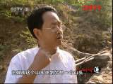 生财有道 《生财有道》 20111017 880元一只会飞的富硒鸡