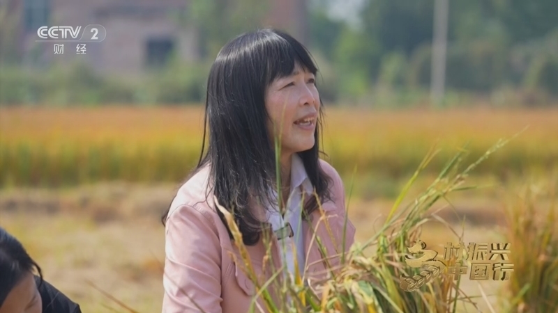 《乡村振兴中国行》第四季 20251128 农文旅融合 产村人共兴