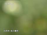 芝麻开门【央视】 蔬菜见闻录