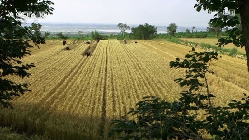 地理中国 《地理·中国》 20201221 宝地桑田·幻境之田