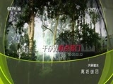 地理中国 《地理中国》 20170408 离垢谜团