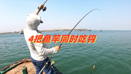 思乡渔夫赶海 不小心捅到鱼窝，4把鱼竿同时咬钩，这场面太少见，把渔夫忙坏了