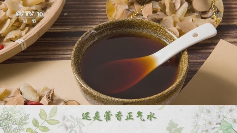 百家讲坛 《百家讲坛》 20220804 传奇古方 12 理气和中藿香正气散