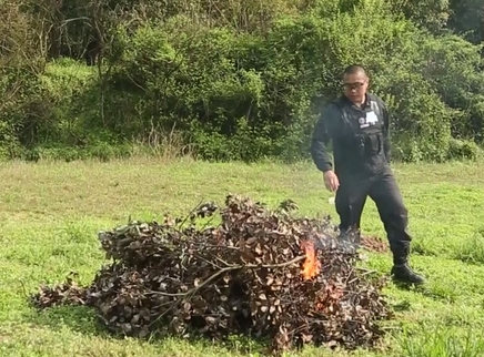 新闻大求真 清明祭扫有哪些错误行为？