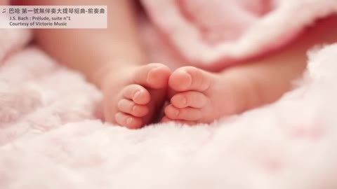 胎教音乐 第一号无伴奏大提琴组曲前奏曲