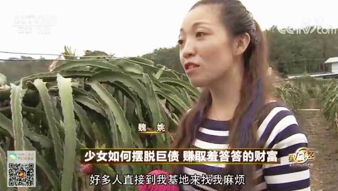 致富经 [致富经]少女如何摆脱巨债 赚取羞答答的财富 20180504