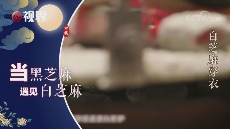 视界 当TA们在中秋相遇