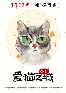 《爱猫之城（普通话）》剧照海报