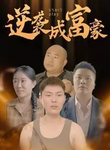 破局之商海逆鳞 海报