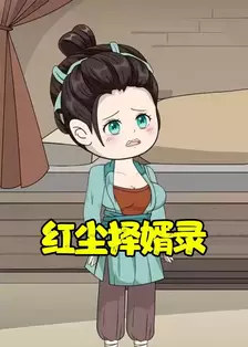 红尘择婿录 海报