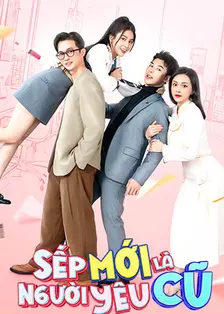 新上司是旧情人