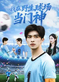 我在野生球场当门神 海报