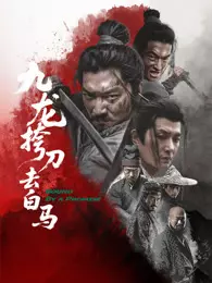 九龙挎刀去白马 海报